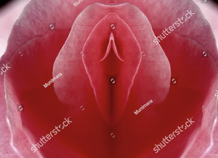 Romrawin