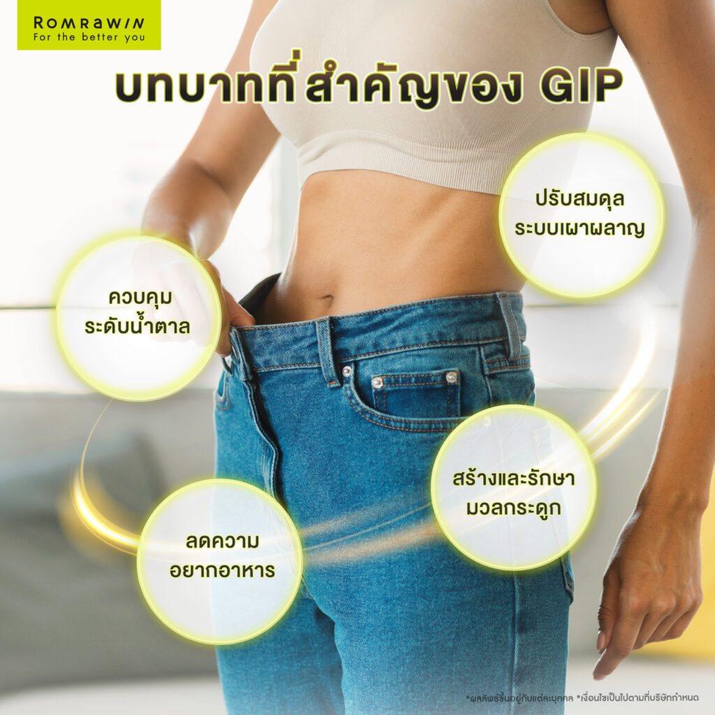 GIP มีบทบาทและหน้าที่สำคัญอย่างไรต่อร่างกาย