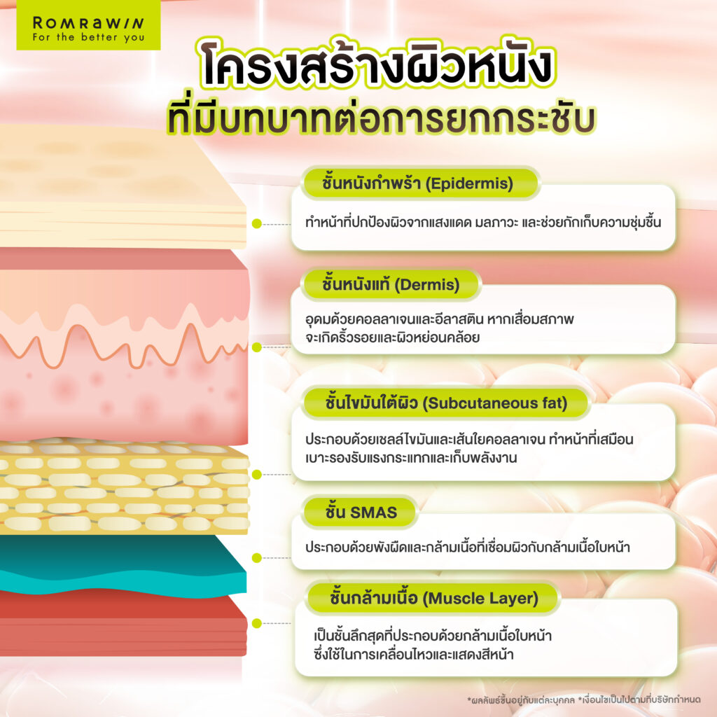 โครงสร้างผิวหนังและชั้นที่มีบทบาทต่อการยกกระชับชั้นผิวหนัง