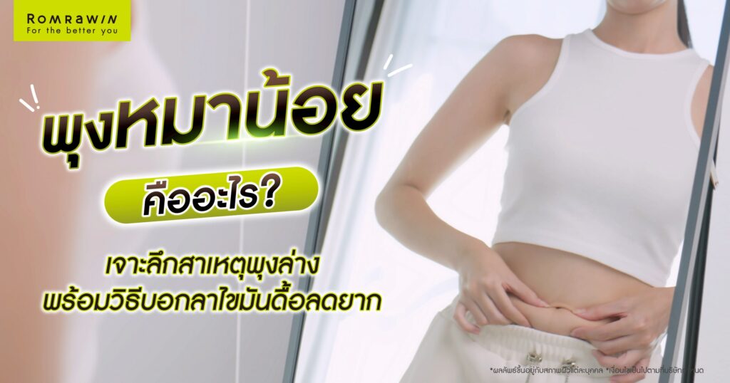 พุงหมาน้อยคืออะไร? เจาะลึกสาเหตุพุงล่าง พร้อมวิธีบอกลาไขมันดื้อลดยาก 1 พุงหมาน้อยคืออะไร