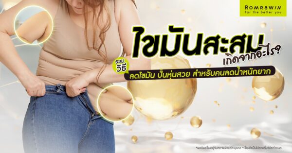 ไขมันสะสมเกิดจากอะไร