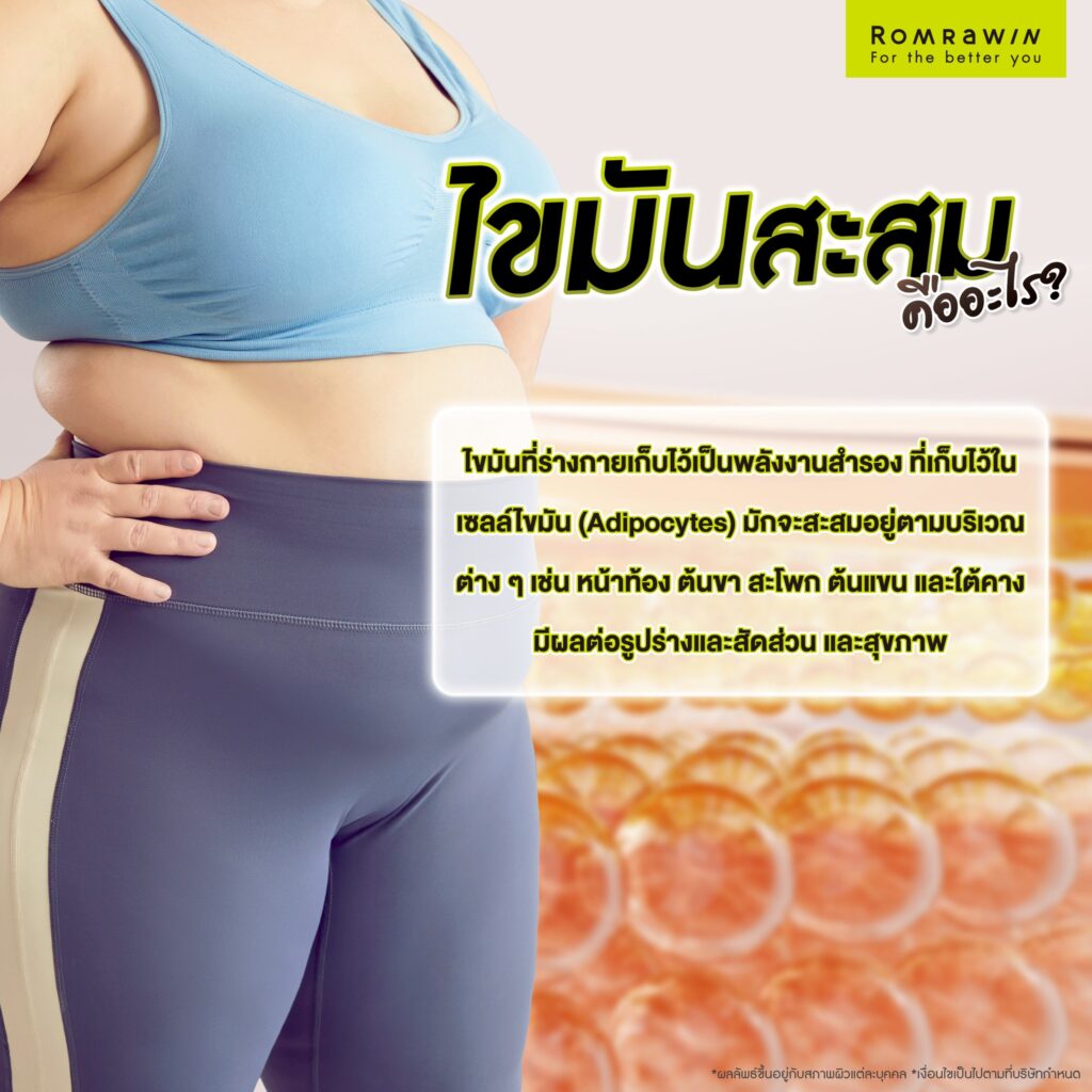 ไขมันสะสมคืออะไร?