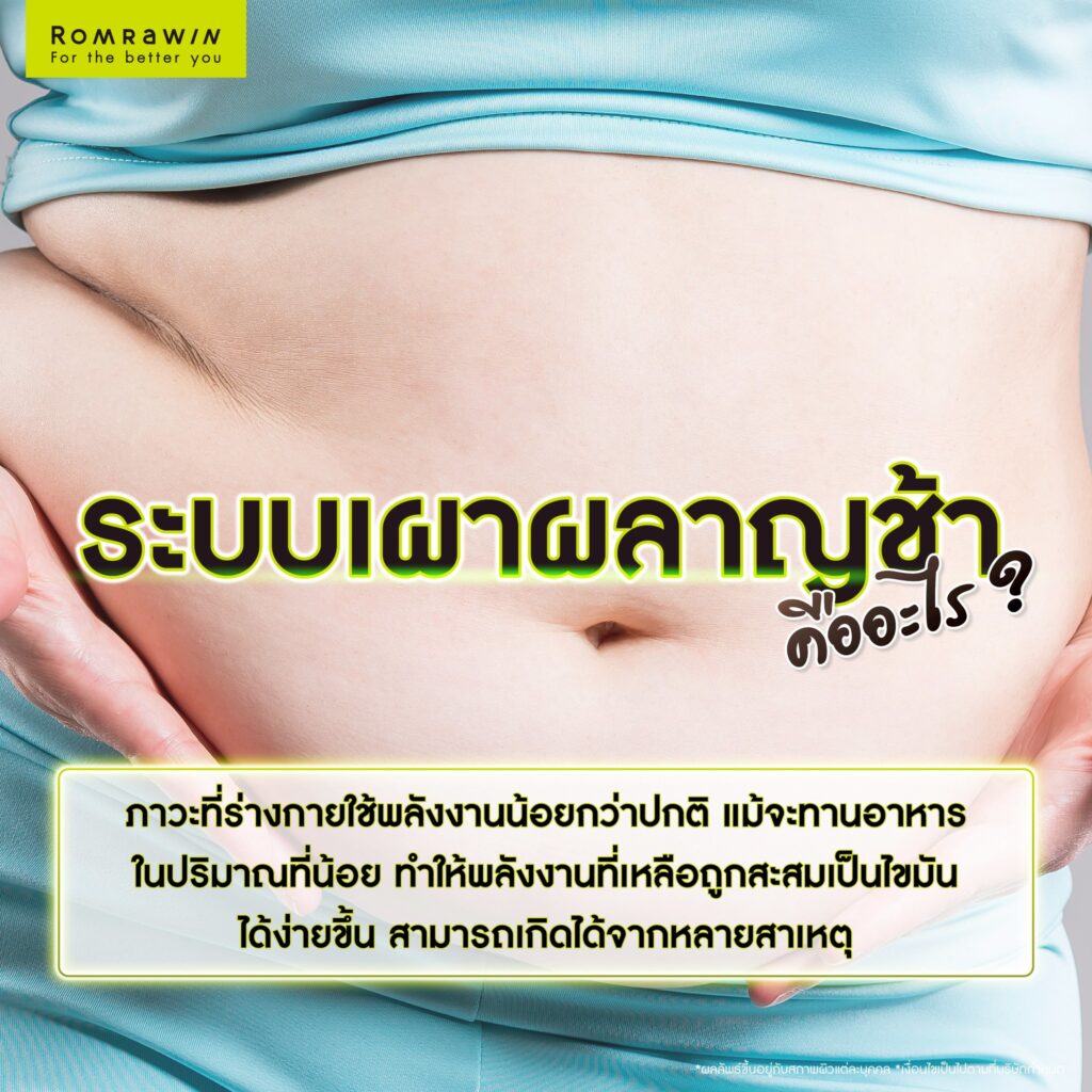 ระบบเผาผลาญช้า คืออะไร