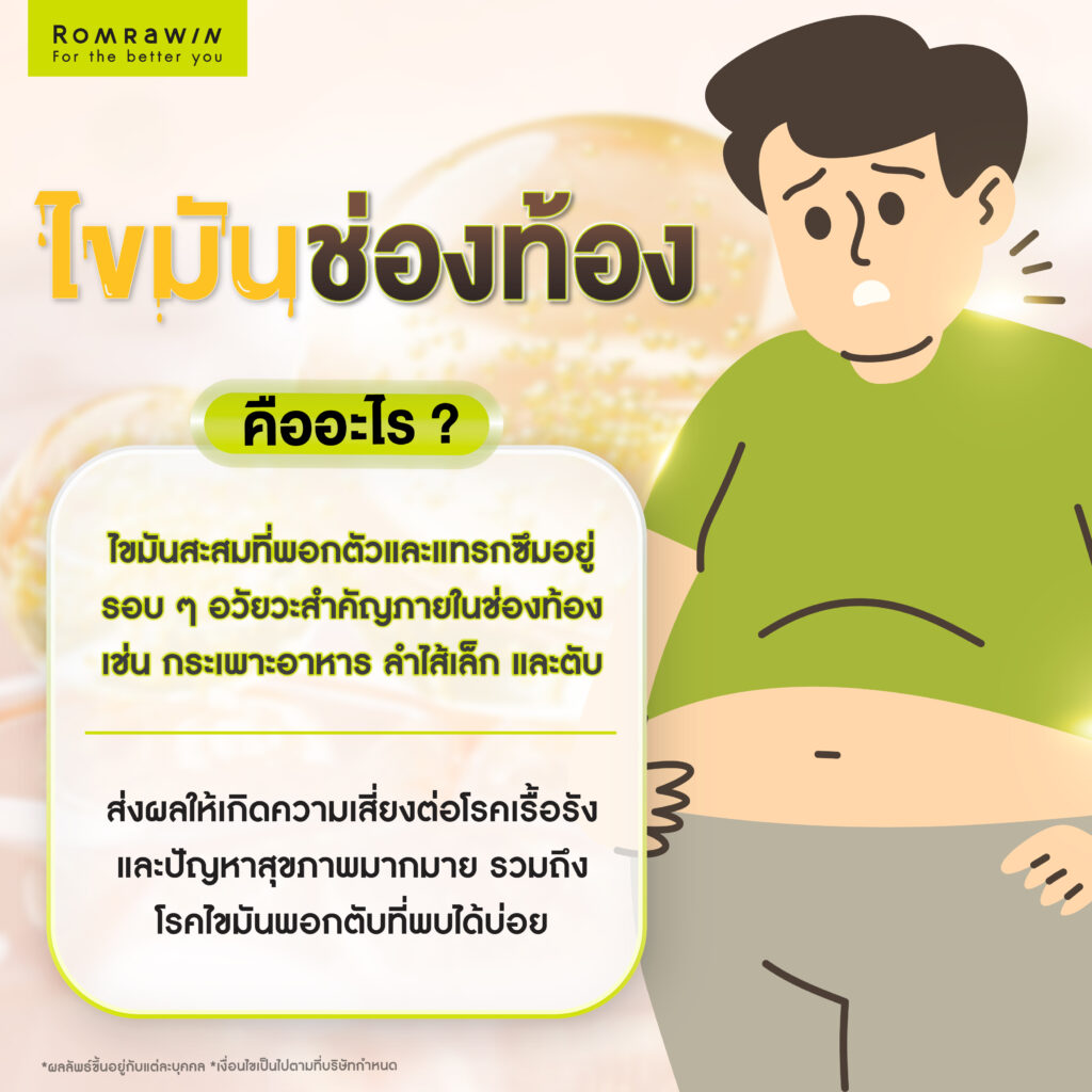 ไขมันช่องท้อง (Visceral Fat) คืออะไร