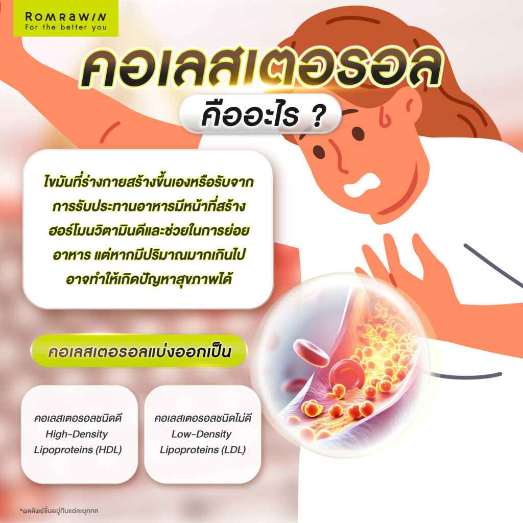 คอเลสเตอรอล คืออะไร