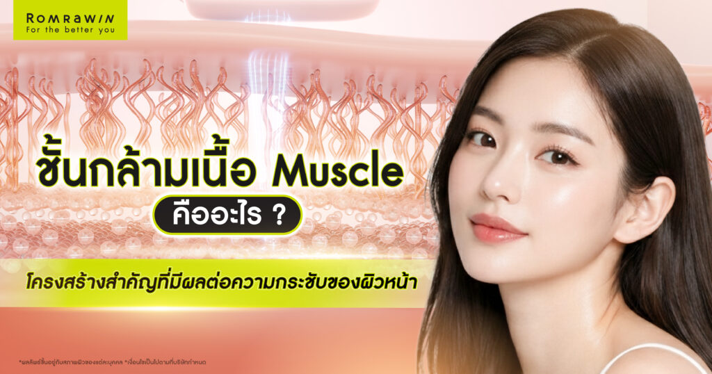 ชั้นกล้ามเนื้อ Muscle คืออะไร? โครงสร้างสำคัญที่มีผลต่อความกระชับของผิวหน้า 1 ชั้นกล้ามเนื้อ Muscle คืออะไร