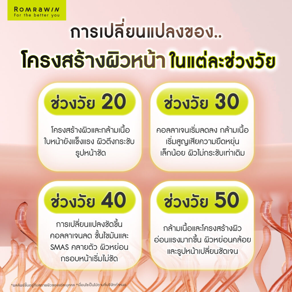 ชั้นกล้ามเนื้อ Muscle คืออะไร? โครงสร้างสำคัญที่มีผลต่อความกระชับของผิวหน้า 5 การเปลี่ยนแปลงของโครงสร้างผิวหน้าในแต่ละช่วงวัย