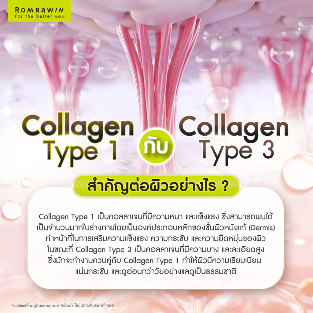 Collagen Type 1 กับ Collagen Type 3 สำคัญต่อผิวอย่างไร?