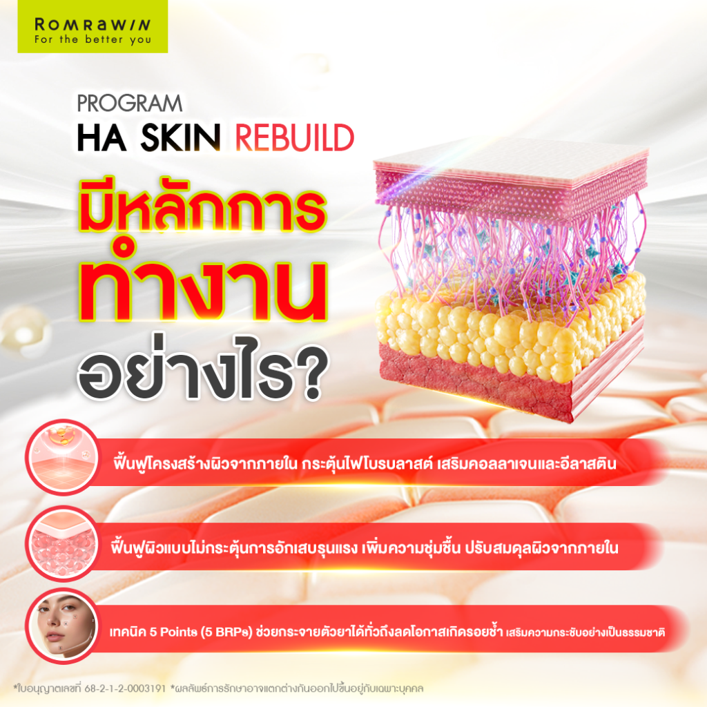 Ejal40 กับการฟื้นฟูโครงสร้างผิว สนับสนุนความแข็งแรงของผิวในระยะยาว 4 หลักการทำงานของ Ejal40