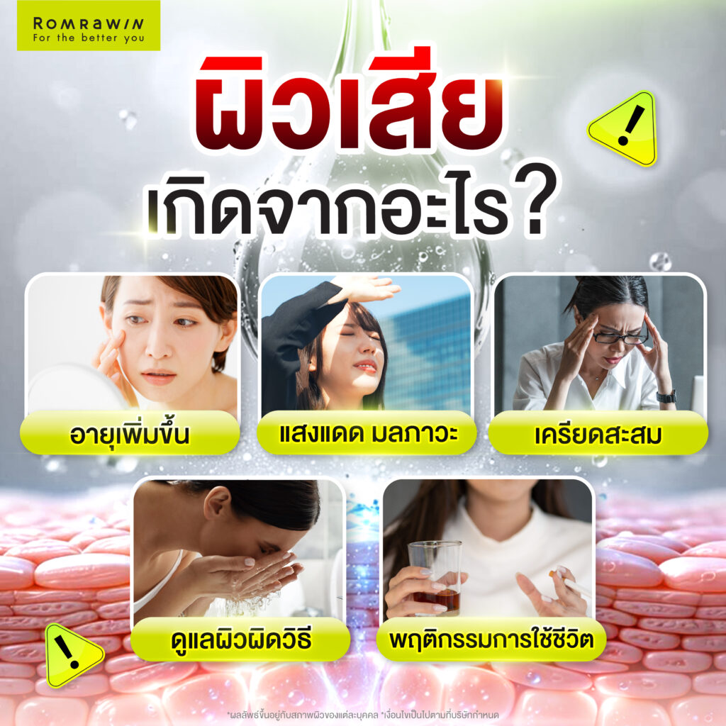 ผิวเสีย หมองคล้ำ แห้งกร้าน ทำอย่างไรให้ผิวกลับมาสุขภาพดี? 2 damaged skin 01