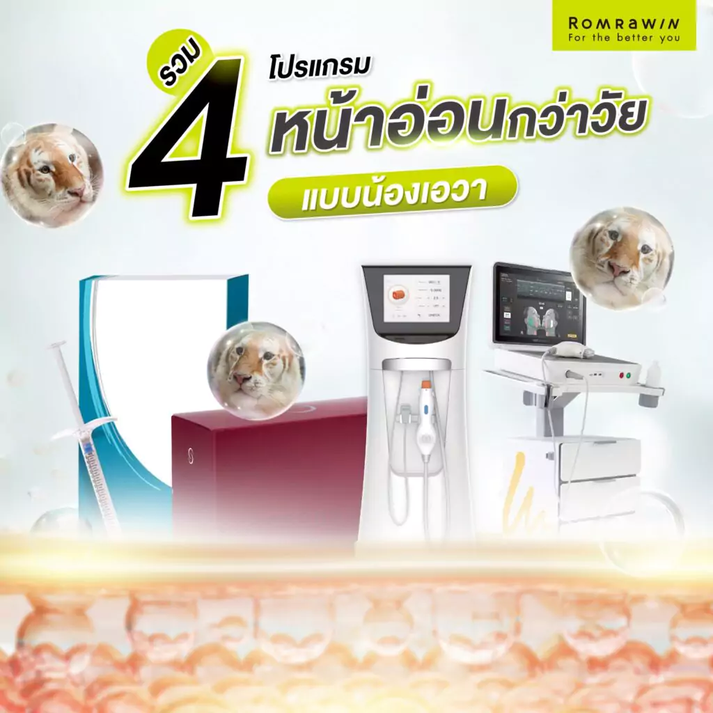 เสือน้อยเอวา