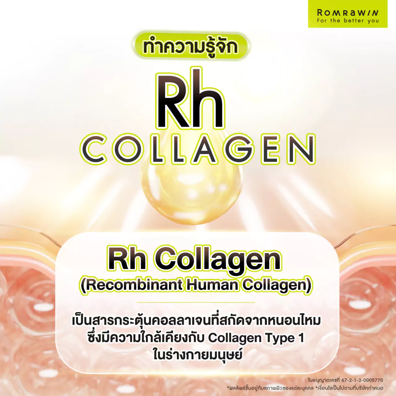 ทำความรู้จักกับ Rh Collagen