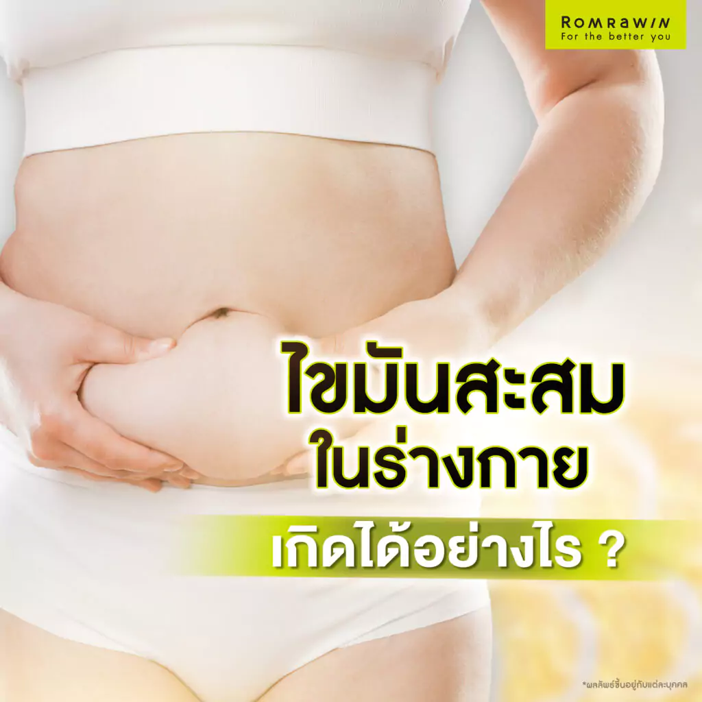 ไขมันสะสมภายในร่างกาย เกิดได้อย่างไร?