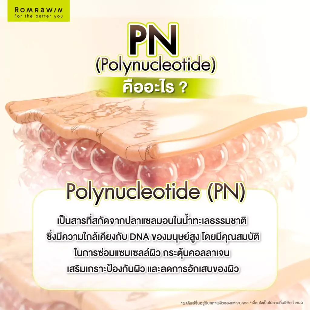 Polynucleotide (PN) คืออะไร?ตา