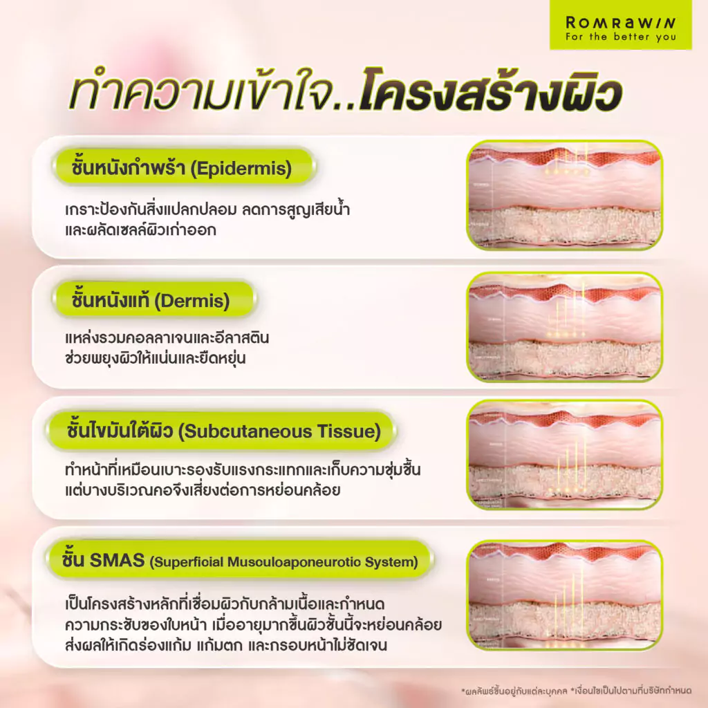 ทำความเข้าใจโครงสร้างผิว